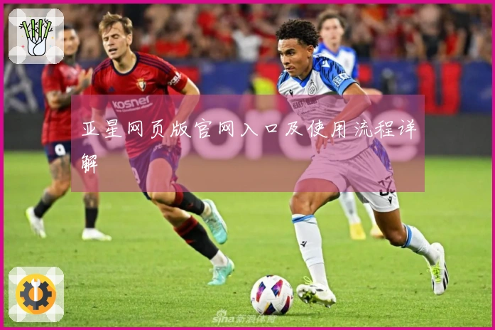 亚星网页版官网入口及使用流程详解