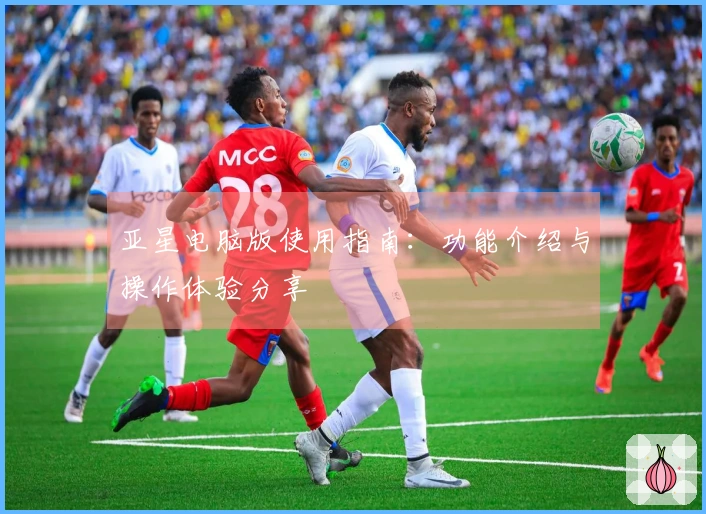 亚星电脑版使用指南：功能介绍与操作体验分享