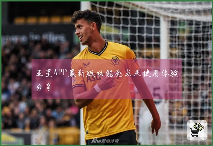 亚星APP最新版功能亮点及使用体验分享