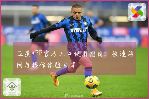 亚星APP官方入口使用指南：快速访问与操作体验分享
